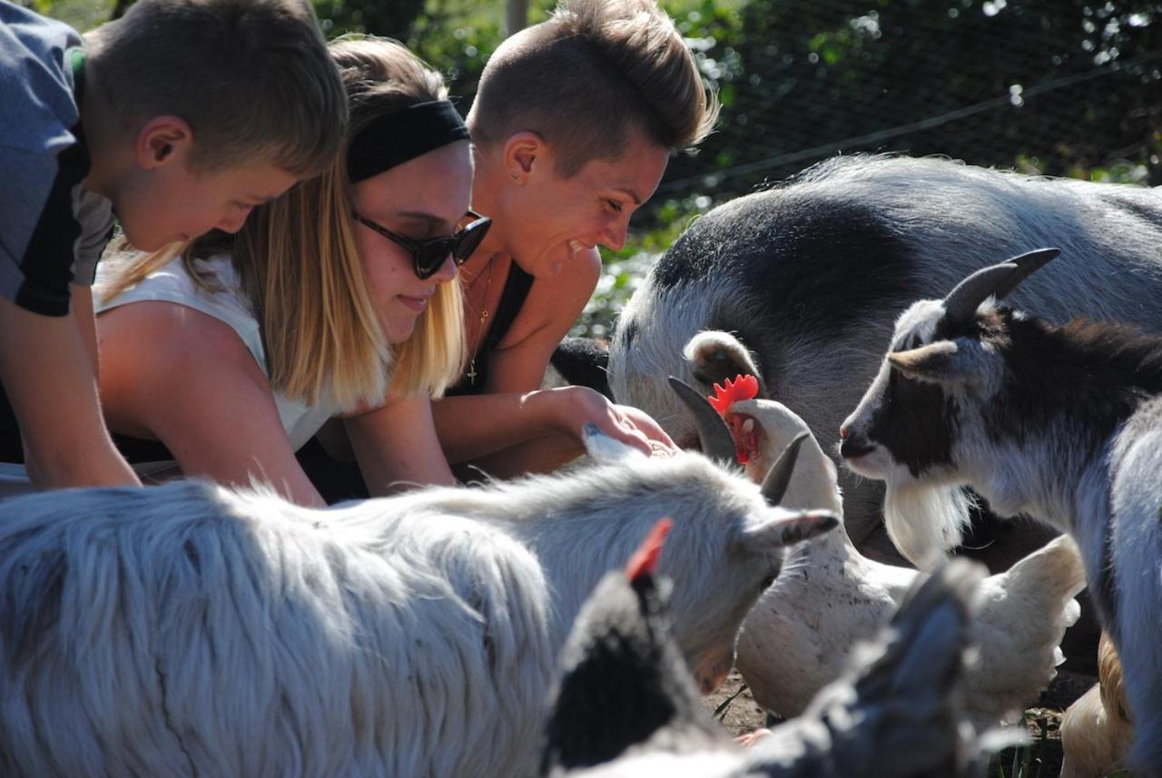 فندق Delny Glamping And Farm Animals إنفيرغوردون المظهر الخارجي الصورة